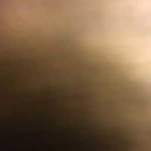 Meet your Posher, Rocco